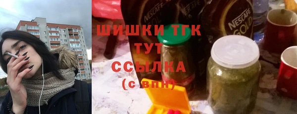 хмурый Белокуриха