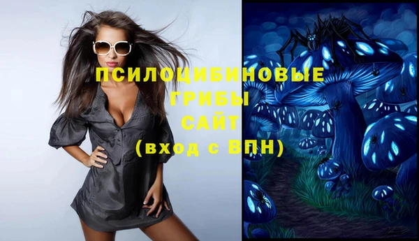 хмурый Белокуриха